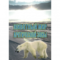 DVD Животный мир Арктической зоны - «globural.ru» - Екатеринбург
