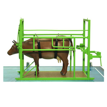 Наглядный макет «Методы и устройства для фиксации КРС» - «globural.ru» - Екатеринбург