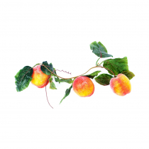 Ветка муляжей "Персики" - «globural.ru» - Екатеринбург