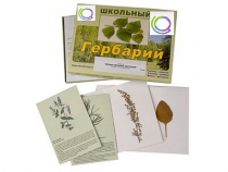 Гербарий "Лекарственные растения" (22 вида, с иллюстрациями) - «globural.ru» - Екатеринбург