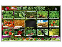 Комплект оборудования "Живой уголок" (растения) - «globural.ru» - Екатеринбург