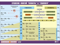 Таблица демонстрационная "Сравнение понятий изомер и гомолог" (винил 100х140) - «globural.ru» - Екатеринбург