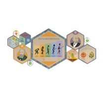 «Стендум - Биология» - набор информационно-методических панелей (10 шт.) - «globural.ru» - Екатеринбург