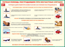 Таблица Порядок действий при коматозном состоянии пострадавшего 1000*1400 винил - «globural.ru» - Екатеринбург