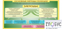 Стенд "Методы селекции и биотехнологии" - «globural.ru» - Екатеринбург