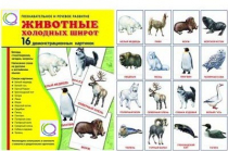 Демонстрационные карточки "Животные холодных широт" - «globural.ru» - Екатеринбург