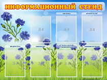 Информационный стенд с 7 карманами - «globural.ru» - Екатеринбург