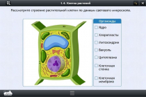 Интерактивные курсы. Биология 9 класс. Расширенный - «globural.ru» - Екатеринбург