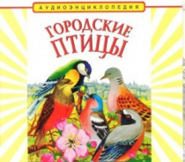 CD "Аудиоэнциклопедия. Городские птицы" - «globural.ru» - Екатеринбург