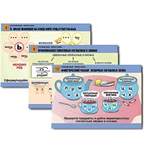 Комплект таблиц для начальной школы "Русский язык. Орфография" - «globural.ru» - Екатеринбург