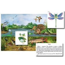 Магнитный плакат-аппликация "Водоем: биоразнообразие и взаимосвязи в сообществе" - «globural.ru» - Екатеринбург