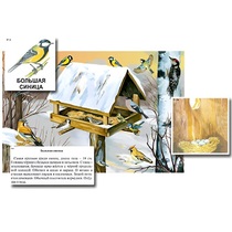 Магнитный плакат-аппликация "Биоразнообразие и экологические группы. Птицы зимой" - «globural.ru» - Екатеринбург