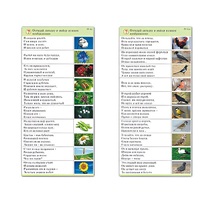 Комплект карточек (10) "Обучающий калейдоскоп. Природа" - «globural.ru» - Екатеринбург