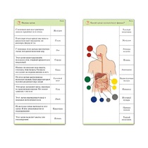 Комплект карточек (10) "Обучающий калейдоскоп. Человек" - «globural.ru» - Екатеринбург
