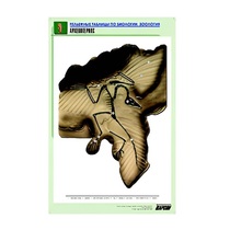 Рельефная таблица "Археоптерикс" (формат А1, матовое ламинир.) - «globural.ru» - Екатеринбург