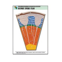 Рельефная таблица "Клеточное строение стебля" (формат А1, матовое ламинир.) - «globural.ru» - Екатеринбург
