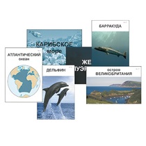 Модель-аппликация "Океаны. Знакомство" (ламинированная) - «globural.ru» - Екатеринбург
