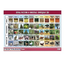 Таблица демонстрационная "Почвы, растения и животные природных зон" (винил 70x100) - «globural.ru» - Екатеринбург