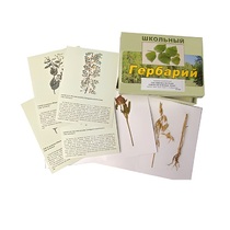 Гербарий "Систематика растений. Семейство Бобовые. Злаки" (раздаточный) - «globural.ru» - Екатеринбург