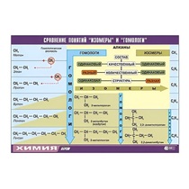 Таблица демонстрационная "Сравнение понятий изомер и гомолог" (винил 70x100) - «globural.ru» - Екатеринбург
