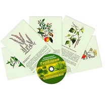 Интерактивный наглядный комплекс "Гербарий "Для начальной школы" - «globural.ru» - Екатеринбург