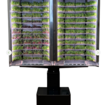 Вертикальная  ферма «Моя микрозелень» комплектация  «Театро настенная» - «globural.ru» - Екатеринбург