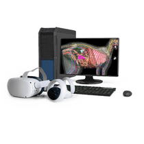 Макет масштабный "Скелет кошки" Масштаб 1:1 - «globural.ru» - Екатеринбург