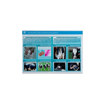 Стенд-планшет светодинамический «Изучение асептических и гнойных воспалительных процессов» - «globural.ru» - Екатеринбург