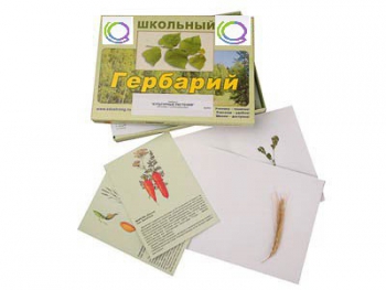Гербарий "Культурные растения" (30 видов, с иллюстрациями) - «globural.ru» - Екатеринбург