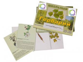 Гербарий "Сельскохозяйственные растения" (30 видов, с иллюстрациями) - «globural.ru» - Екатеринбург