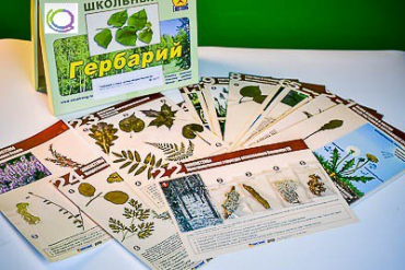 Гербарий к курсу основ общей биологии - «globural.ru» - Екатеринбург