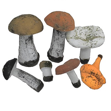 Набор муляжей грибов 7 штук - «globural.ru» - Екатеринбург