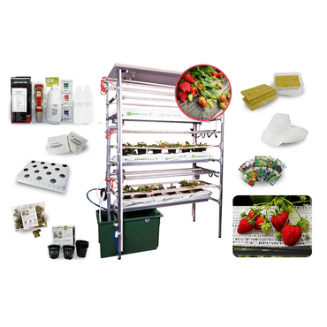 Гидропонная установка "Клубничная ферма" - «globural.ru» - Екатеринбург