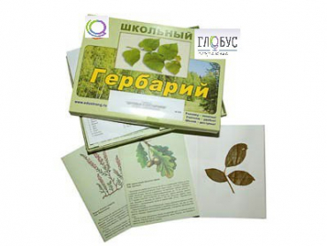 Гербарий "Дикорастущие растения" (30 видов, с иллюстрациями) - «globural.ru» - Екатеринбург