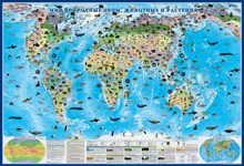 Настенная карта для дошкольников "Природные зоны мира. Животные и растения" - «globural.ru» - Екатеринбург