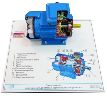 Планшет светодинамический «асинхронный двигатель с короткозамкнутым ротором» - «globural.ru» - Екатеринбург