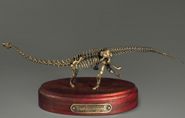 Модель скелета динозавра Diplodocus (вариант 1) - «globural.ru» - Екатеринбург