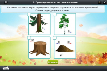 Интерактивные курсы. Окружающий мир 1 класс. Базовый - «globural.ru» - Екатеринбург