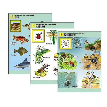 Комплект таблиц для начальной школы "Окружающий мир. Животный мир" - «globural.ru» - Екатеринбург