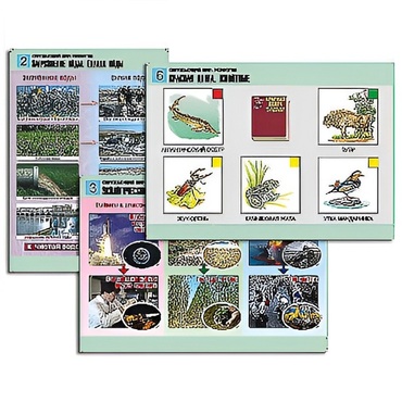 Комплект таблиц для  начальной школы "Окружающий мир. Экология" - «globural.ru» - Екатеринбург