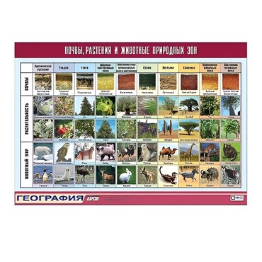 Таблица демонстрационная "Почвы, растения и животные природных зон" (винил 100x140) - «globural.ru» - Екатеринбург