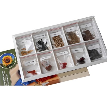 Коллекция "Плоды сельскохозяйственных растений" (вариант 2) - «globural.ru» - Екатеринбург