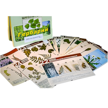 Гербарий к курсу основ общей биологии - «globural.ru» - Екатеринбург