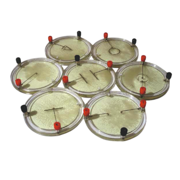 Демонстрационный комплект «Силовые линии электрического поля разных систем зарядов» - «globural.ru» - Екатеринбург