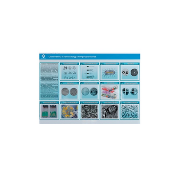 Стенд-планшет светодинамический «Изучение систематики и номенклатуры микроорганизмов» - «globural.ru» - Екатеринбург