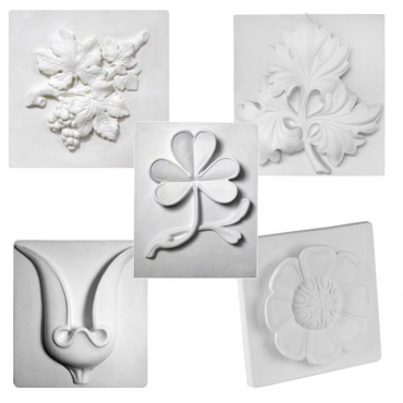 Комплект гипсовых моделей растений  - «globural.ru» - Екатеринбург