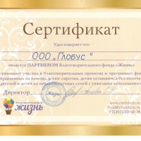 Благотворительный фонд "Жизнь" г. Челябинск